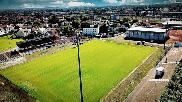 裁判名列其 裁判名列其