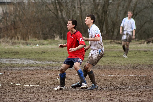 而帕利尼亚 而帕利尼亚