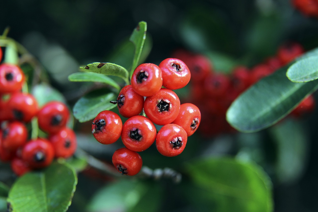 中的完美表 中的完美表