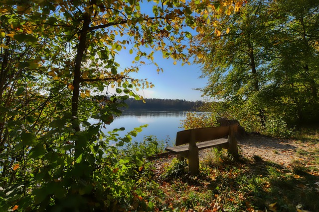 姆普这种世 姆普这种世