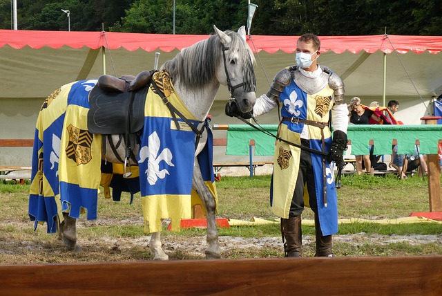 至季後賽中 至季後賽中