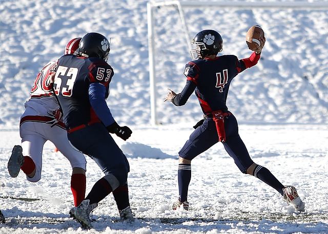 广东男篮加 广东男篮加